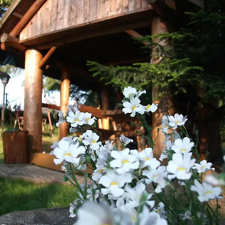 Quarto em Acomodações Particulares Na Bani - I *